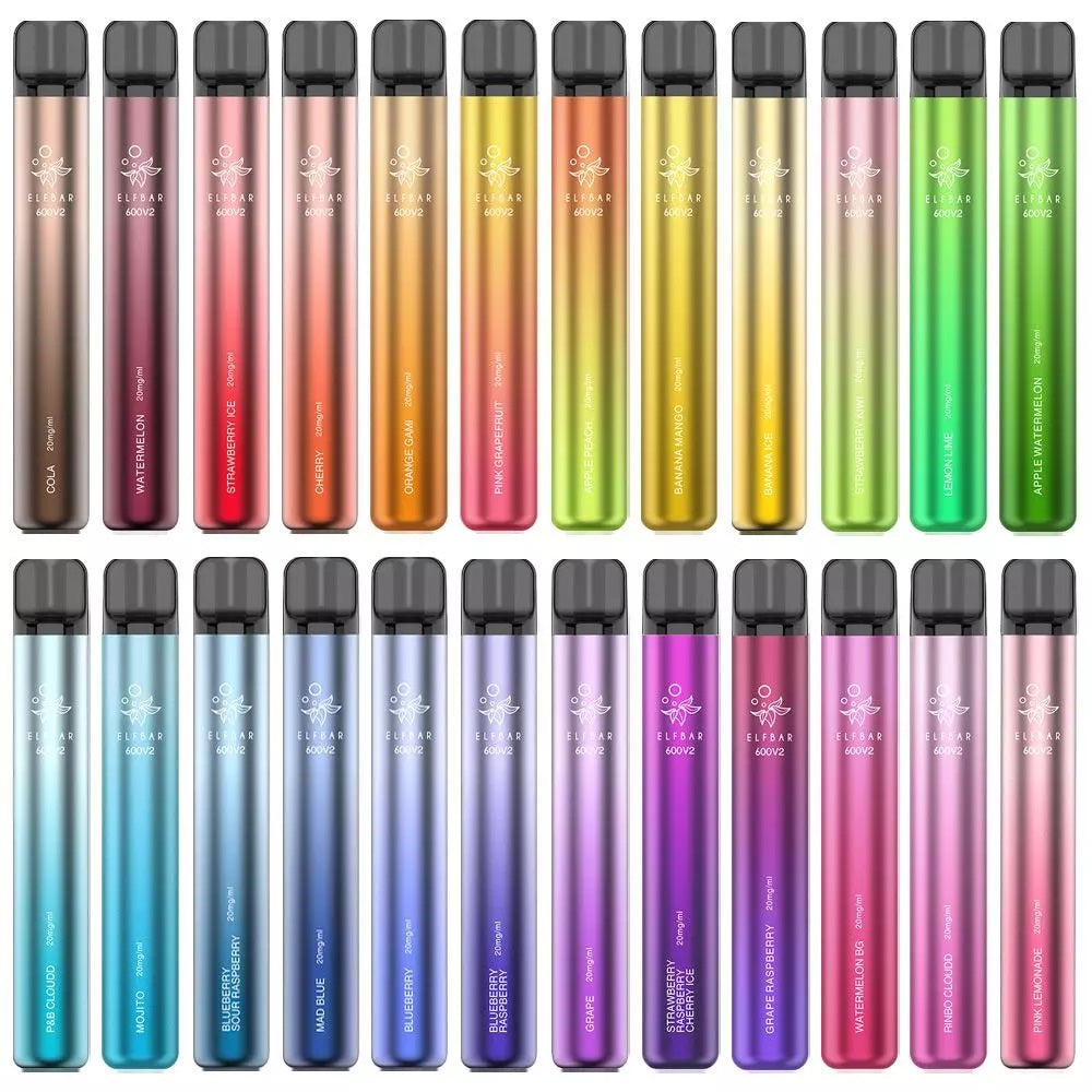 Elfbar 600 V2 Blueberry Kiwi